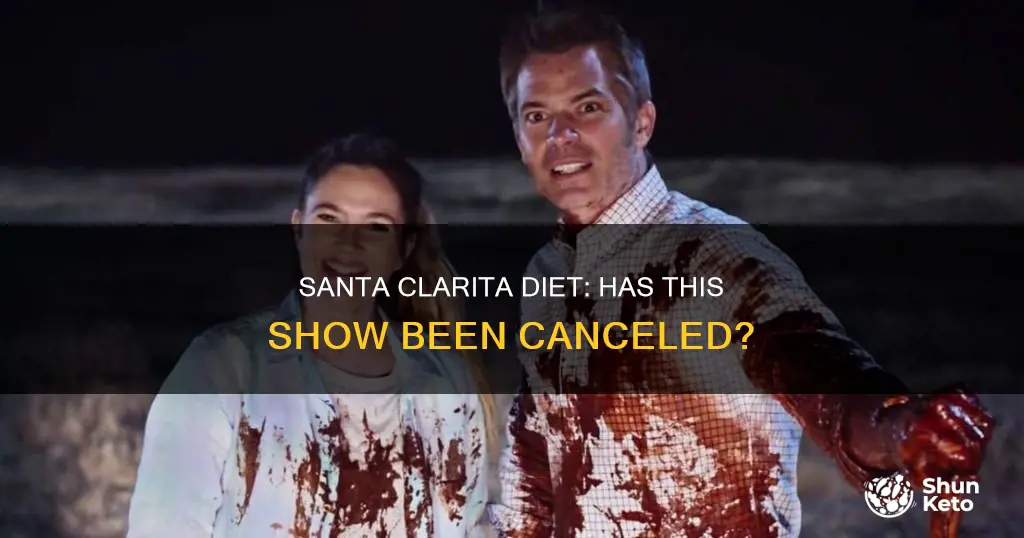 has santa clarita diet been cancled