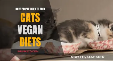 Can Cats Go Vegan? The Risky Truth