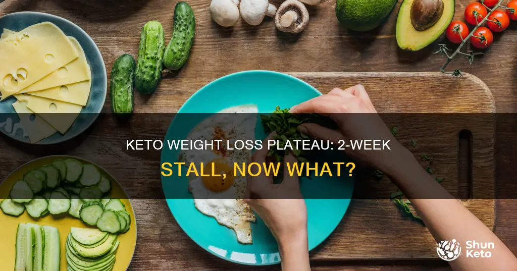 haven t lost weight in 2 weeks on keto