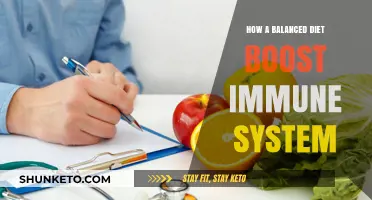 Healthy Eating, Strong Immunity: A Balanced Diet's Power