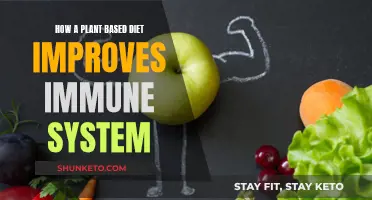 Plant-Based Diets: Supercharging Your Immune System