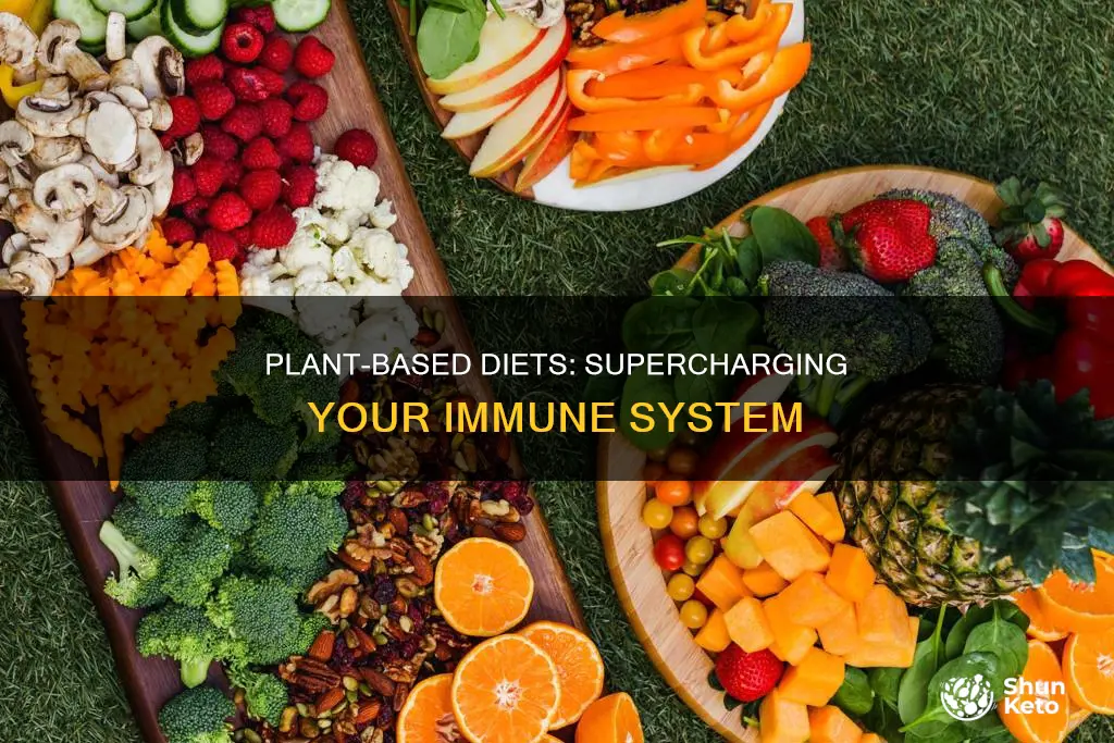 how a plant based diet improves immune system