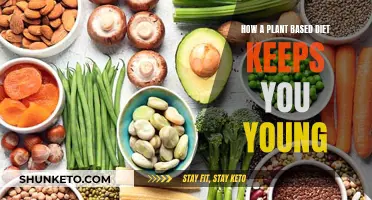 Plant-Based Diets: The Secret to Staying Young