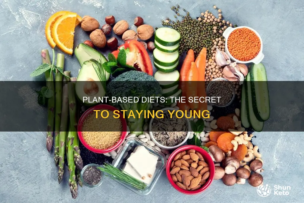 how a plant based diet keeps you young