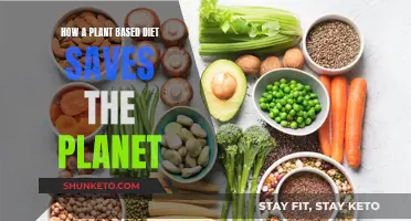 Plant-Based Diets: Saving the Planet, One Bite at a Time