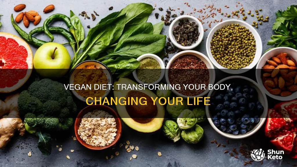 how a vegan diet changes your body