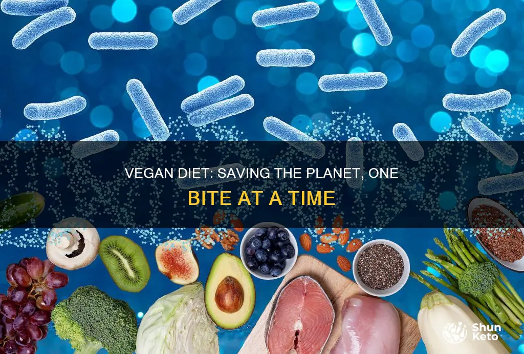 how a vegan diet impact the planet