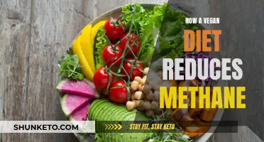 Vegan Diet: Reducing Methane, Saving the Planet