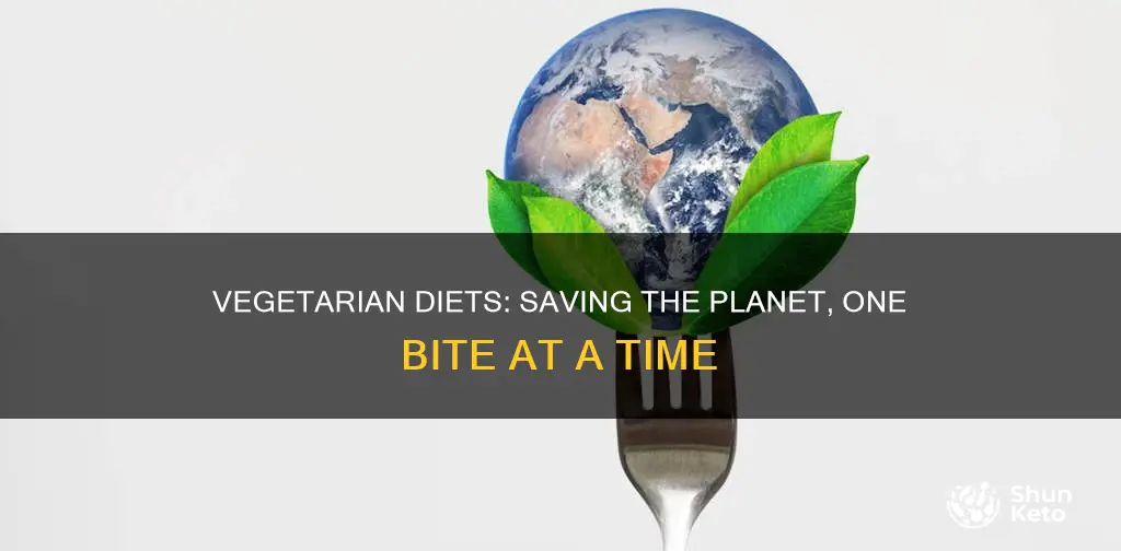 how a vegetarian diet could save the planet