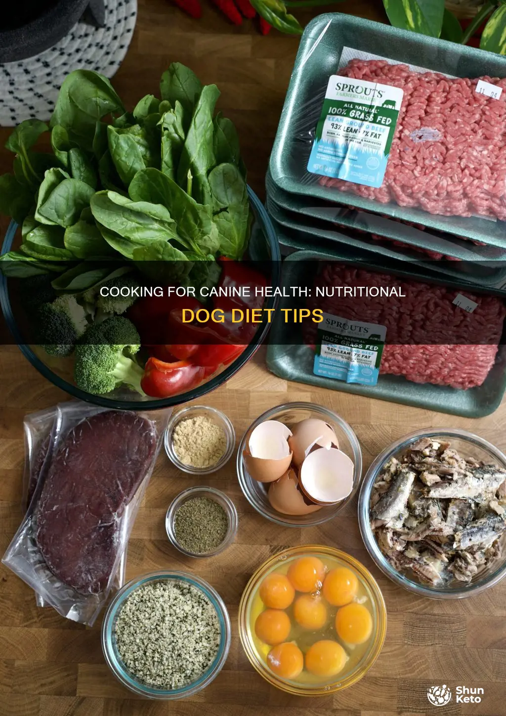 how and what to cook for a dogs diet