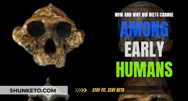 Early Human Diets: Evolution, Adaptation, and Food Sources