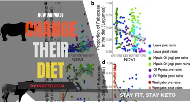Animals' Dietary Adaptations: Survival Strategies in the Wild