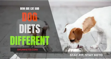 Pet Diets: Cats vs Dogs, What's the Difference?