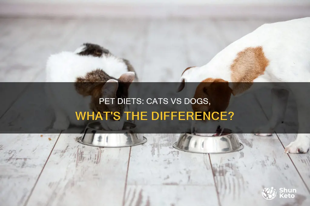 how are cat and dog diets different
