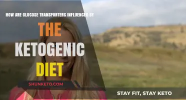 Ketogenic Diet: Glucose Transporters — What's the Link?