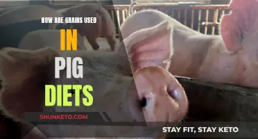 Grain Usage in Pig Diets: What, Why, and How?