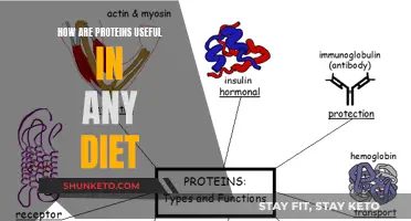 Protein Power: Essential Dietary Benefits Explained