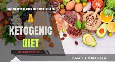 Ketogenic Diet: Stress Hormones' Natural Enemy