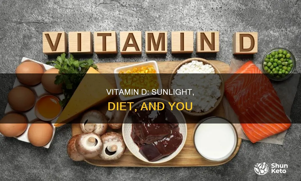 how are vitamin d needs met by diet and sunlight