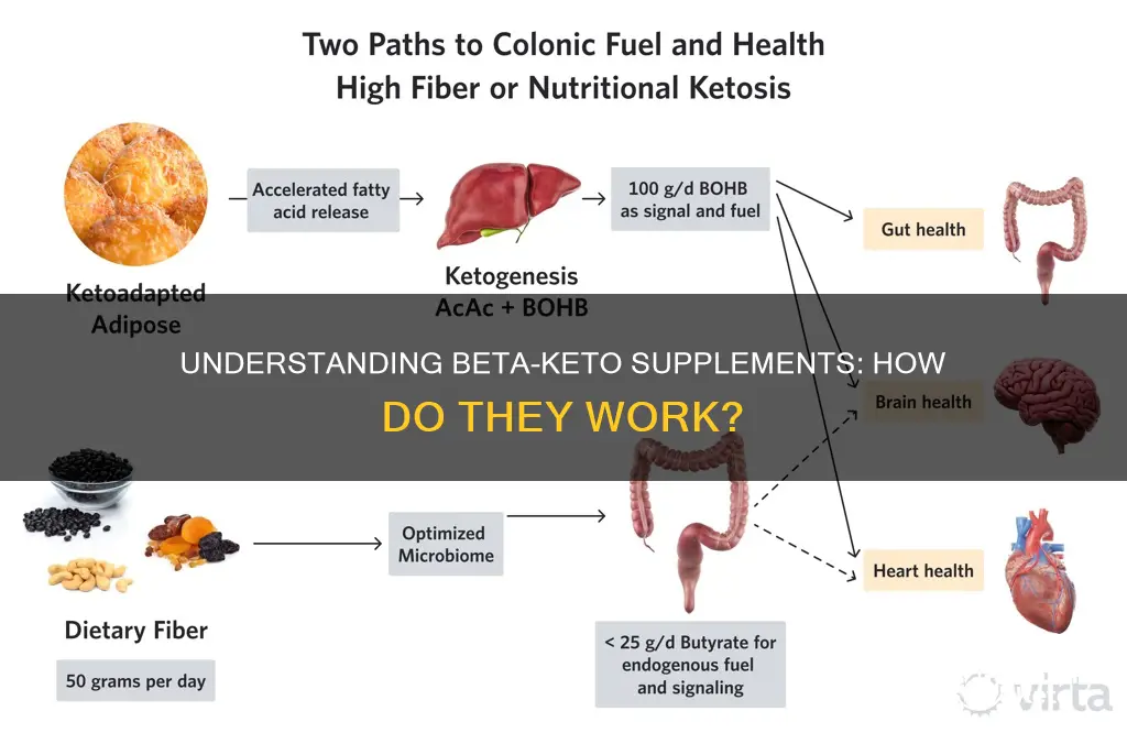 how beta keto supplement works