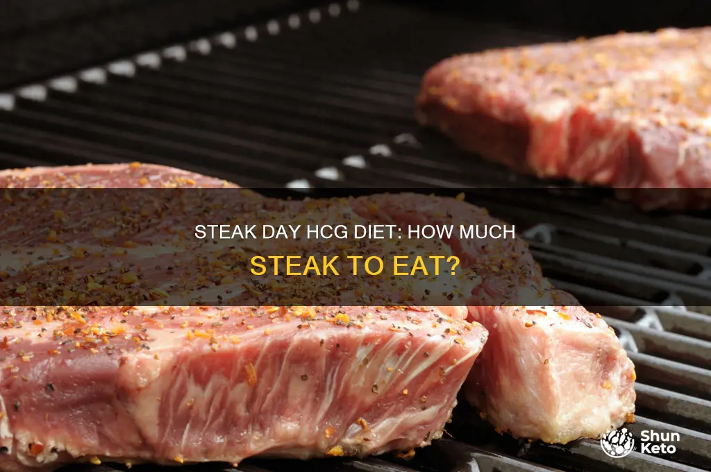 how big of a steak on steak day hcg diet