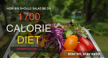 Salad Proportions for a 1700-Calorie Diet: How Much is Enough?