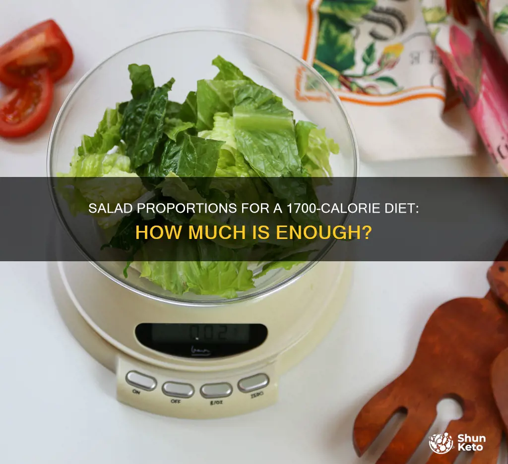 how big should salad be on 1700 calorie diet