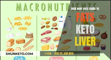 Carbs, Fats, and Keto: How Your Body and Liver Respond