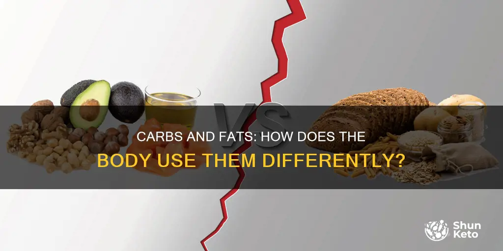 how body uses carbs vs fats keto