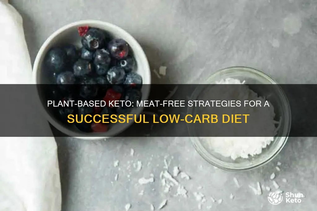 how can i do the keto diet without eating meat