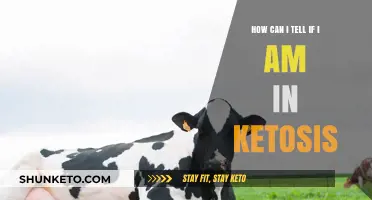 Signs You're in Ketosis: How to Confirm Your Body's Fat-Burning State