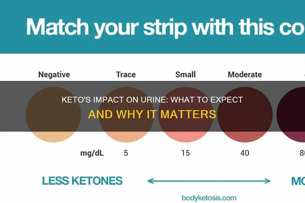 how can keto affect your urine