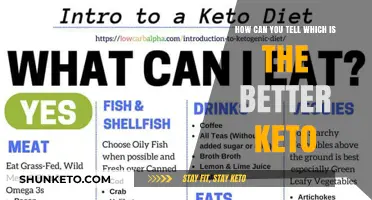 Choosing the Best Keto Plan: Key Factors to Compare and Decide