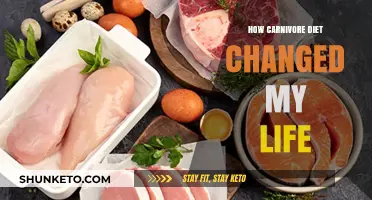 Carnivore Diet: My Life-Changing Experience