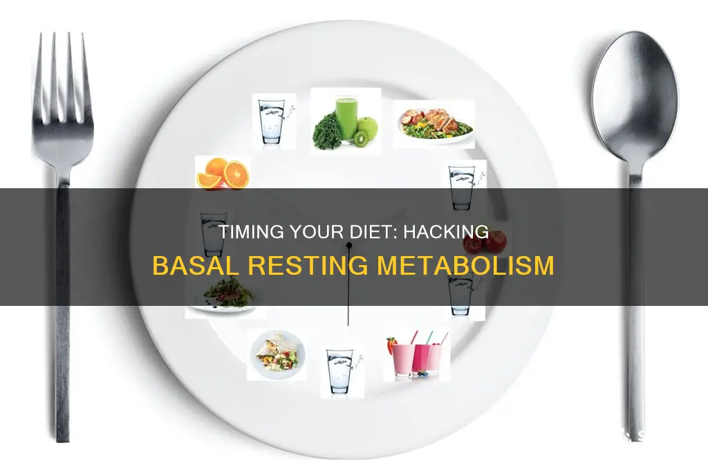 how change basal resting metabolism by timing diet
