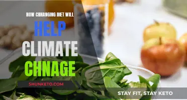 Dietary Changes: Saving the Planet, One Bite at a Time