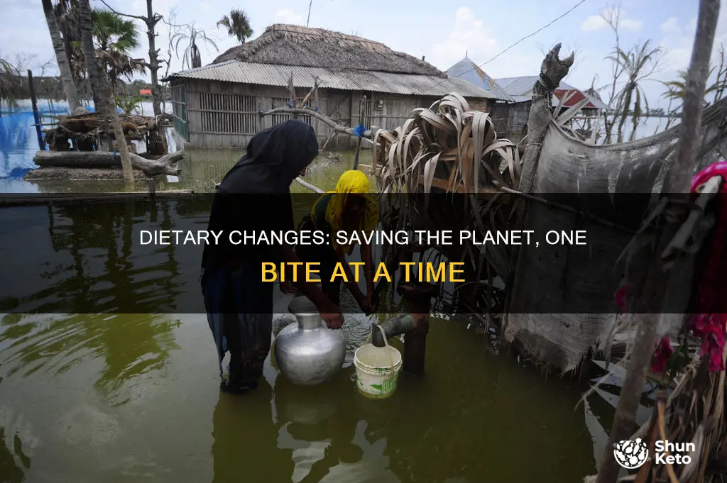 how chhanging diet will help climate chnage
