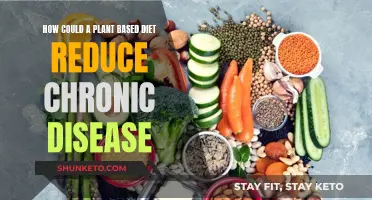 Plant-Based Diets: Reducing Chronic Disease Risk