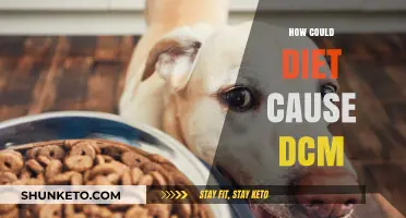 Diet-Induced: Understanding the Link Between Food and DCM