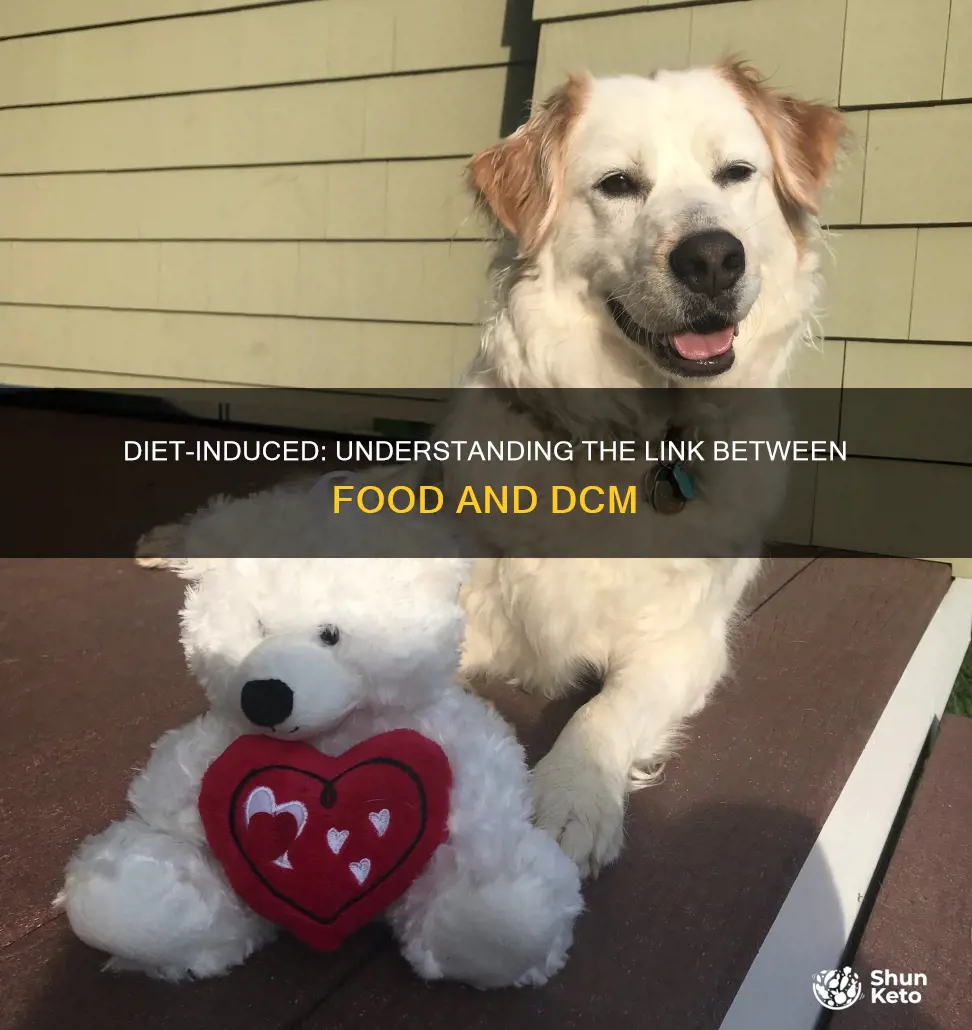 how could diet cause dcm