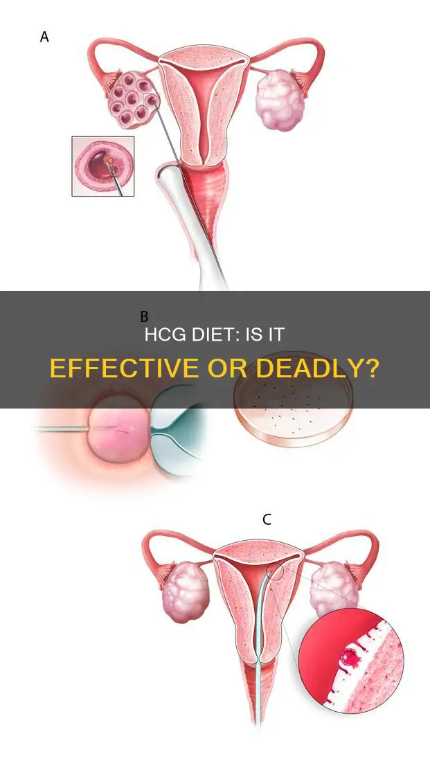 how dangerous is the hcg diet