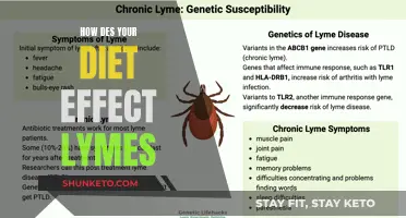 Diet's Role in Lyme Disease: What to Know
