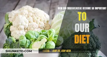 Brassica: Ancient, Nutritious, and Delicious