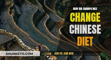 The Champa Rice Revolution: Changing Chinese Diets and Culture