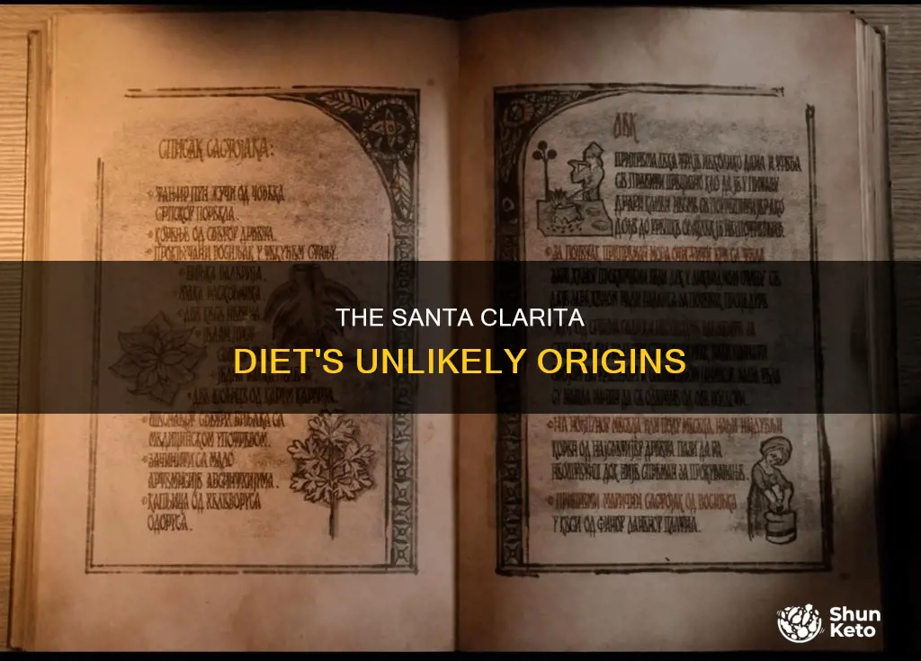 how did santa clarita diet start