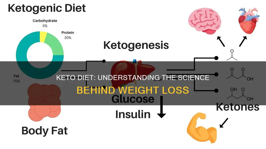 how dies keto work