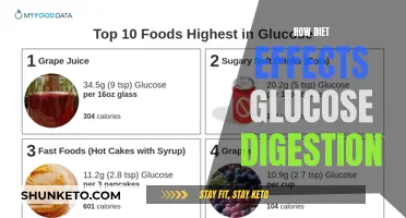 Glucose Digestion: The Impact of Dietary Choices
