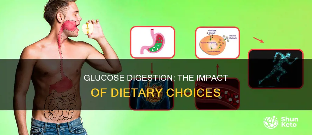 how diet effects glucose digestion