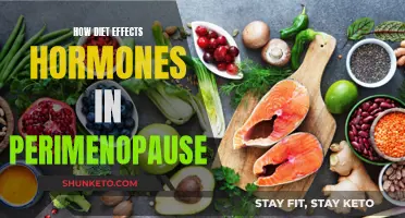 Diet's Hormonal Impact on Perimenopause Explained