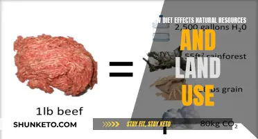 Diet's Environmental Impact: Land Use and Natural Resources
